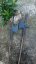 Training halberd
