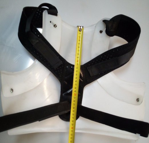 Chest protector