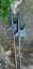 Training halberd