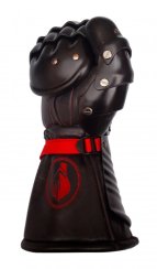 Sparring mittens