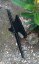 Training halberd