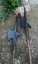 Training halberd