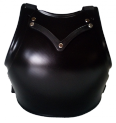 Women's chest protector