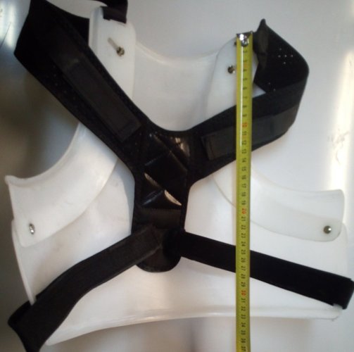 Chest protector
