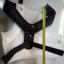 Chest protector