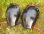 Shoulder guards LITE